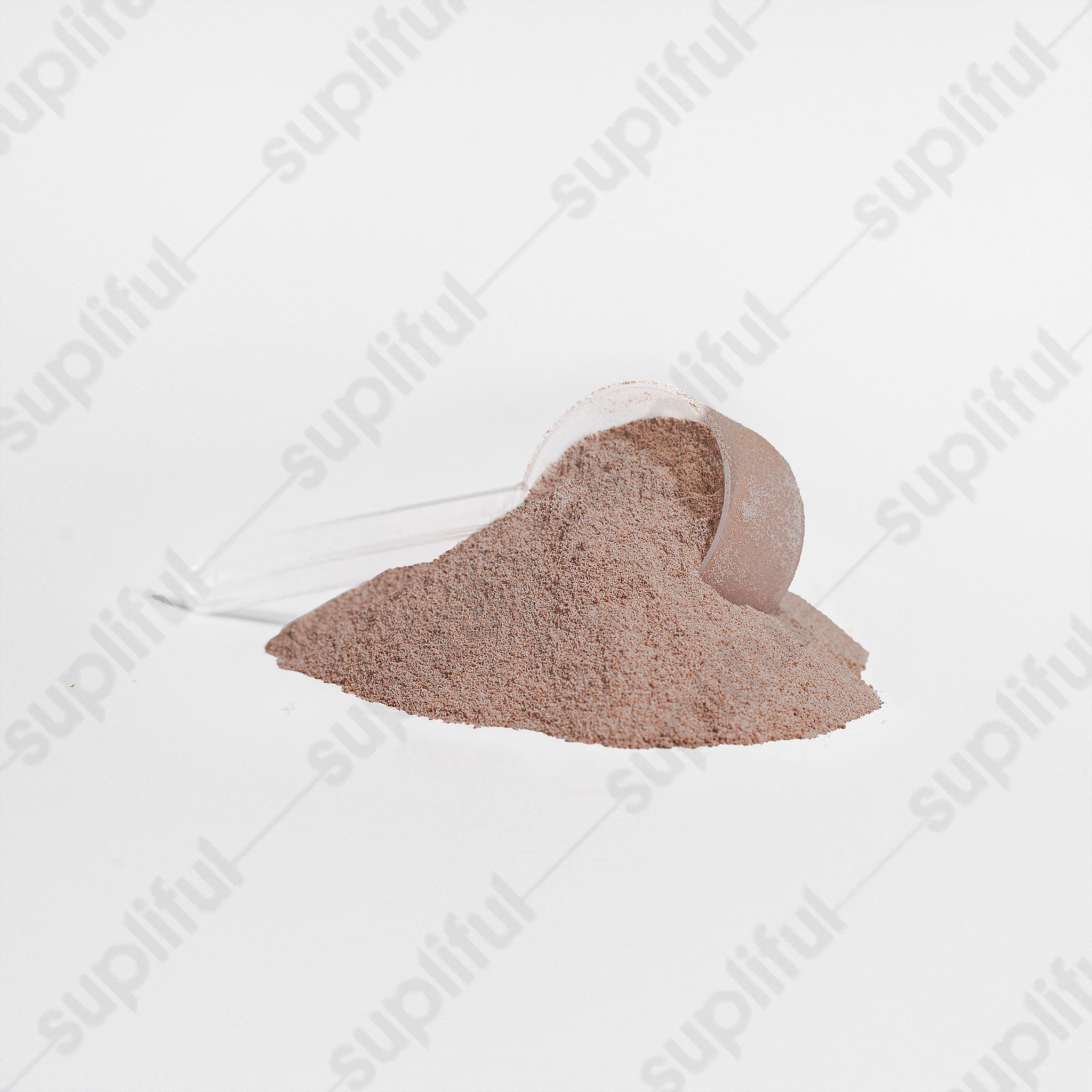 Chocolate Whey Protein Isolate for Lean Muscle and Recovery - Image 4